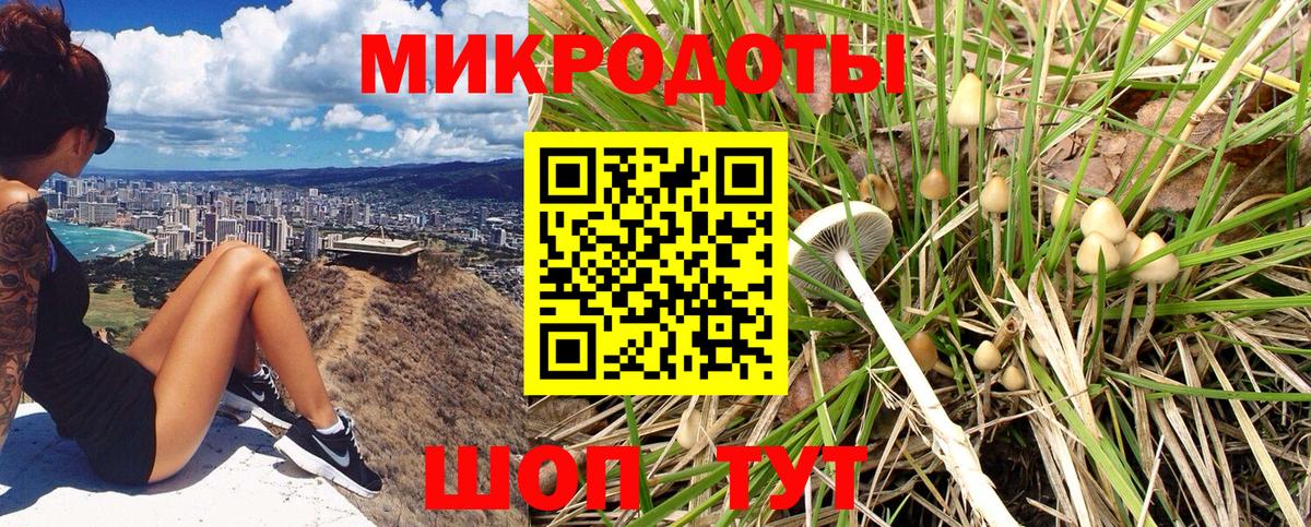 Псилоцибиновые грибы Psilocybine cubensis  Вход с VPN  Будённовск 
